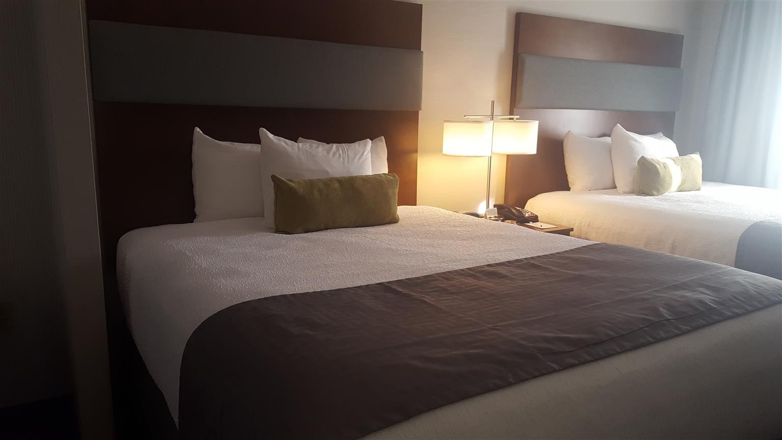 Best Western Plus Boston Hotel מראה חיצוני תמונה
